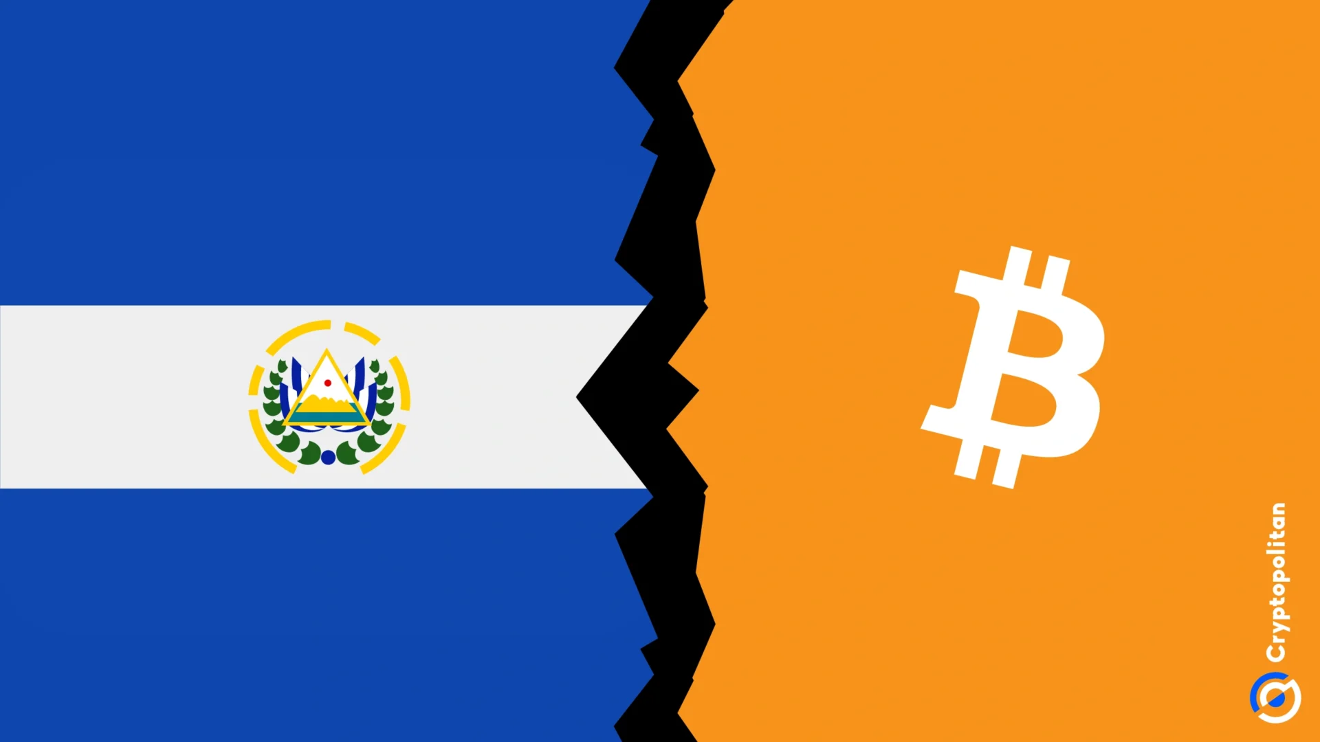 萨尔瓦多比特币投资组合达 7.67 亿美元,BTC 价格飙升至 12.3 万美元